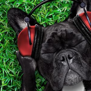 Meet your Posher, Jeri